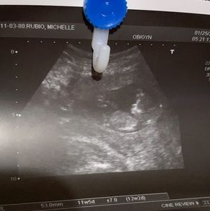 Meet your Posher, Michelle n benjamin